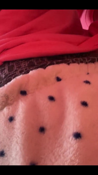 The Morning Begins with a Meeting with a Subscriber