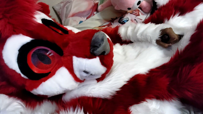 PawgrammerSocks: Jerking off and Showing Footpaws in Full-body Fursuit