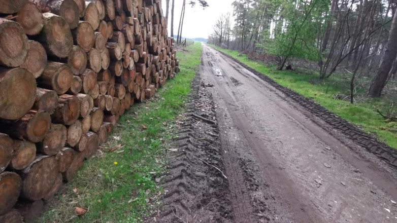 Bouncy Tits Action: Halte dich nackt und lass mich deine titten bestrafen