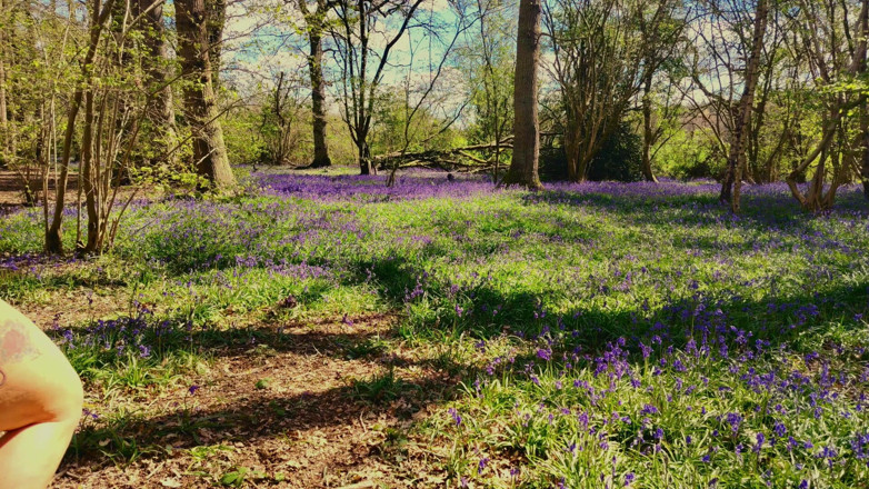 The adventures of Kylie Britain: Queen Kylie of the Bluebells