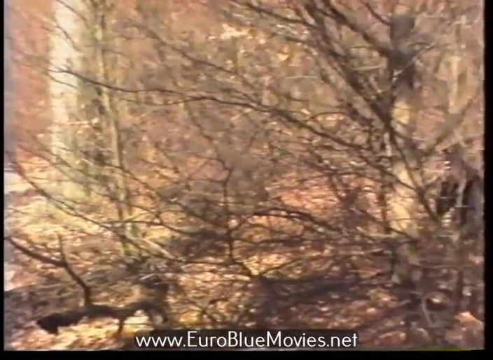 Euro Blue Movies: Dino의 퍼스트 클래스 20