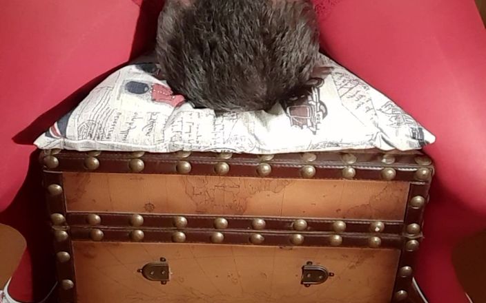 goddess82: La mia seduta in faccia il mio schiavo avvolto sulla...