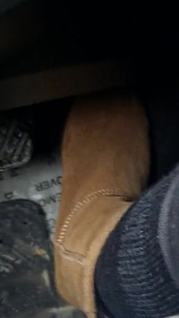 Lái xe khởi động Ugg