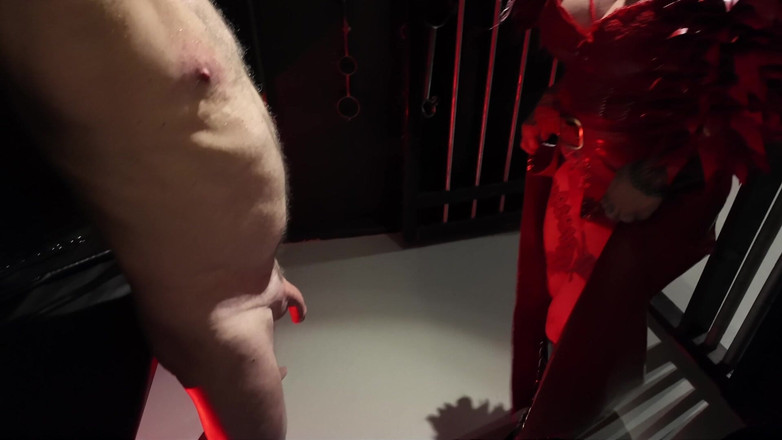 Domina Dark: ドミナ・ダークス・プレジャーのための肉