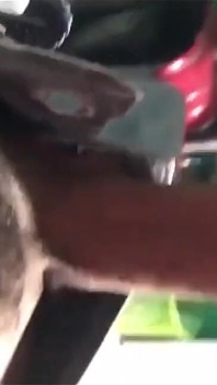 Handjob in Bed #13