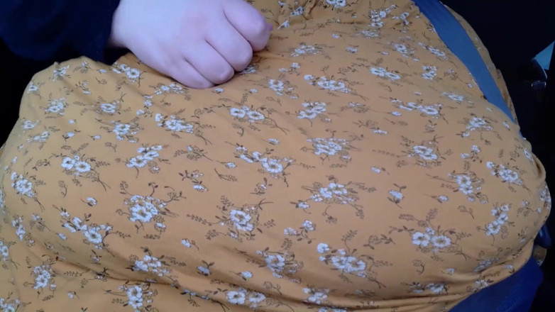 SSBBWLadyBrads: Perut gemuk saya di dalam kereta