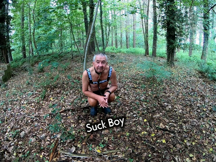 Andy: Bölüm 2 yürüyüş 30