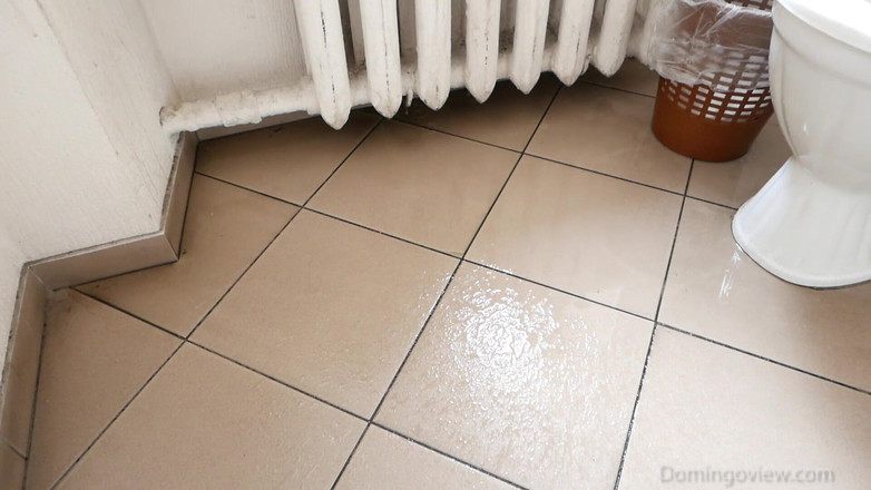 Domingo View: Sarah I Want