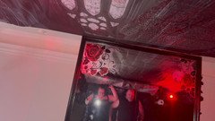 Aaexperinces trans: 도미나 사타나, 라니사 곰 및 우리의 TV 서브