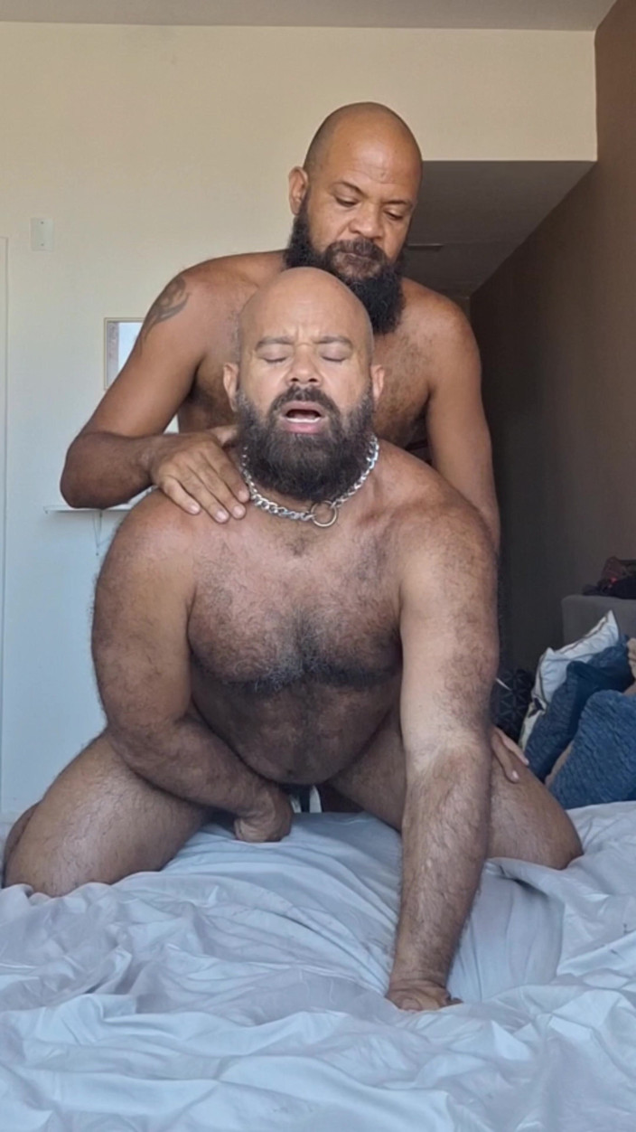 Tio Barbudo: Bearded Stepfather Getting Into the Bear. Bareback and Cumshot
