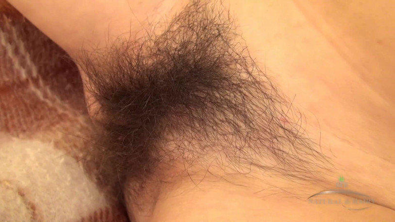 ATK Fans (Hairy): Toys Play