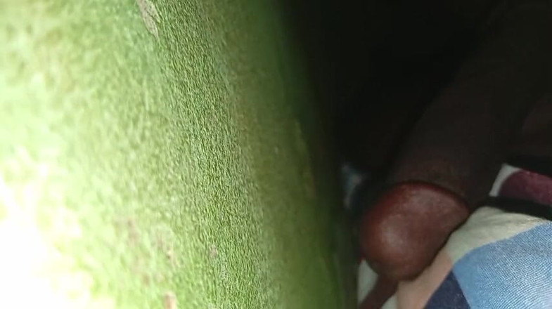 Badman4606: Futai de Anul Nou.