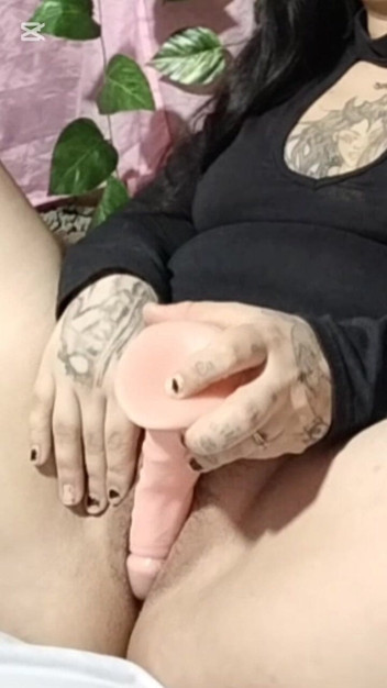 Dalyla: Colombia Arrecha