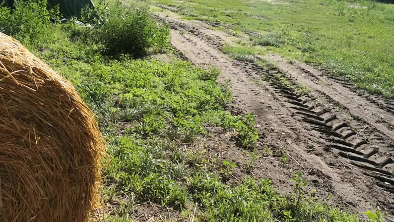 Bouncy Tits Action: Slap my tits in the hay
