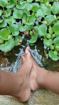 Chilling by the Water Lillies