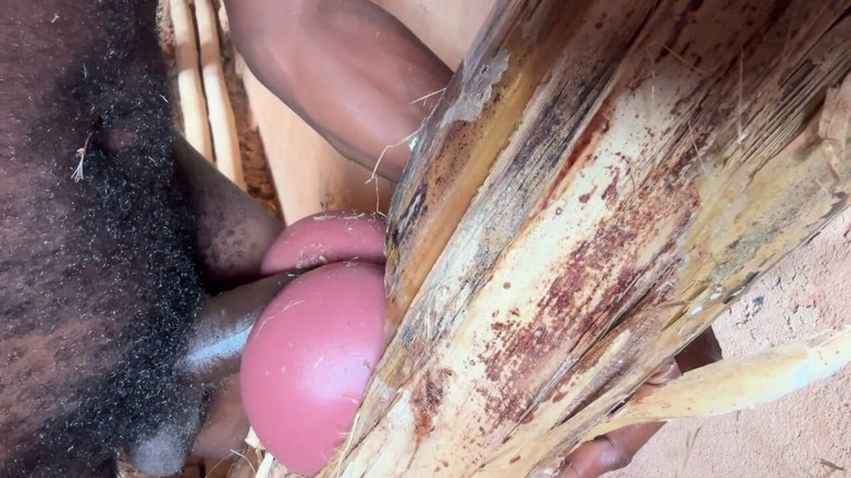 Bangcum8: Pantat Sangat Manis Di Bilik Penjara Saya