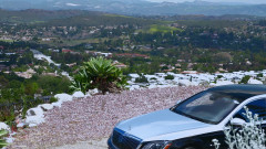 Red bottom productions: 신뢰의 그림자