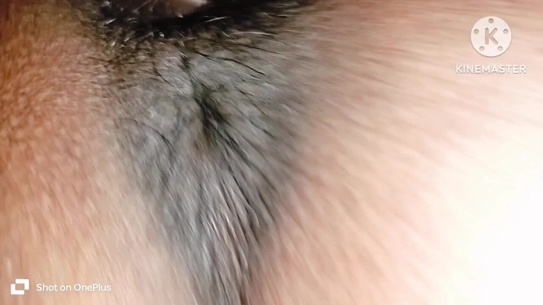 Mava mava: Ki Chudai 디왈리 파 밤에 하드코어