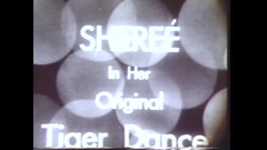 The Unforgettable: Penari Pelacur