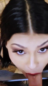 Pov bruna