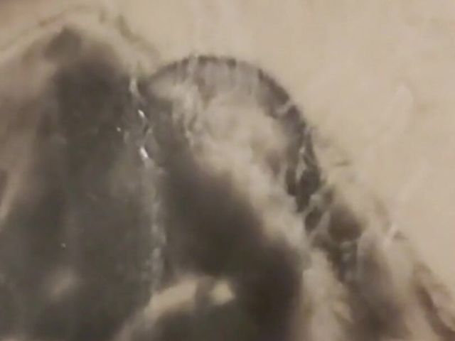 Shower Moments (Big bear Frankfurt)