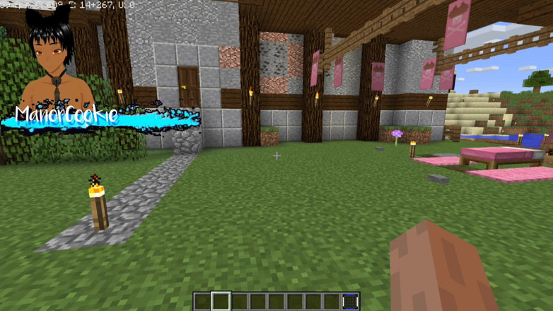 Manor Cookie: Minecraft jenny mod scopa galath una scopata succube e anale
