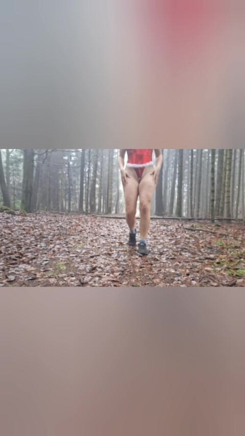 Swissapple: Mencari Sinterklas