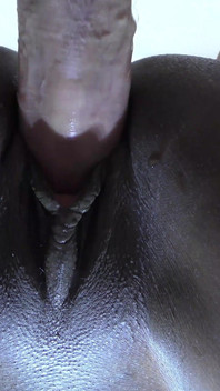 후배위에서 흑누나 쪼이는 보지에 큰 백인 자지 사정