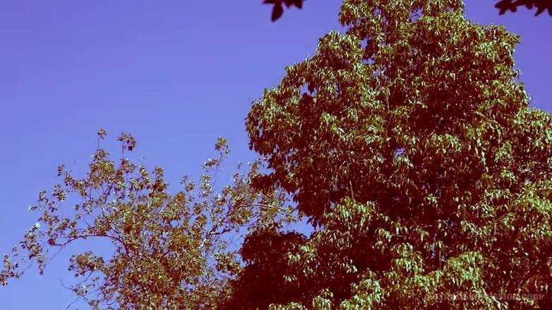 Sex and Submission by Kink: Backpacker Nightmare