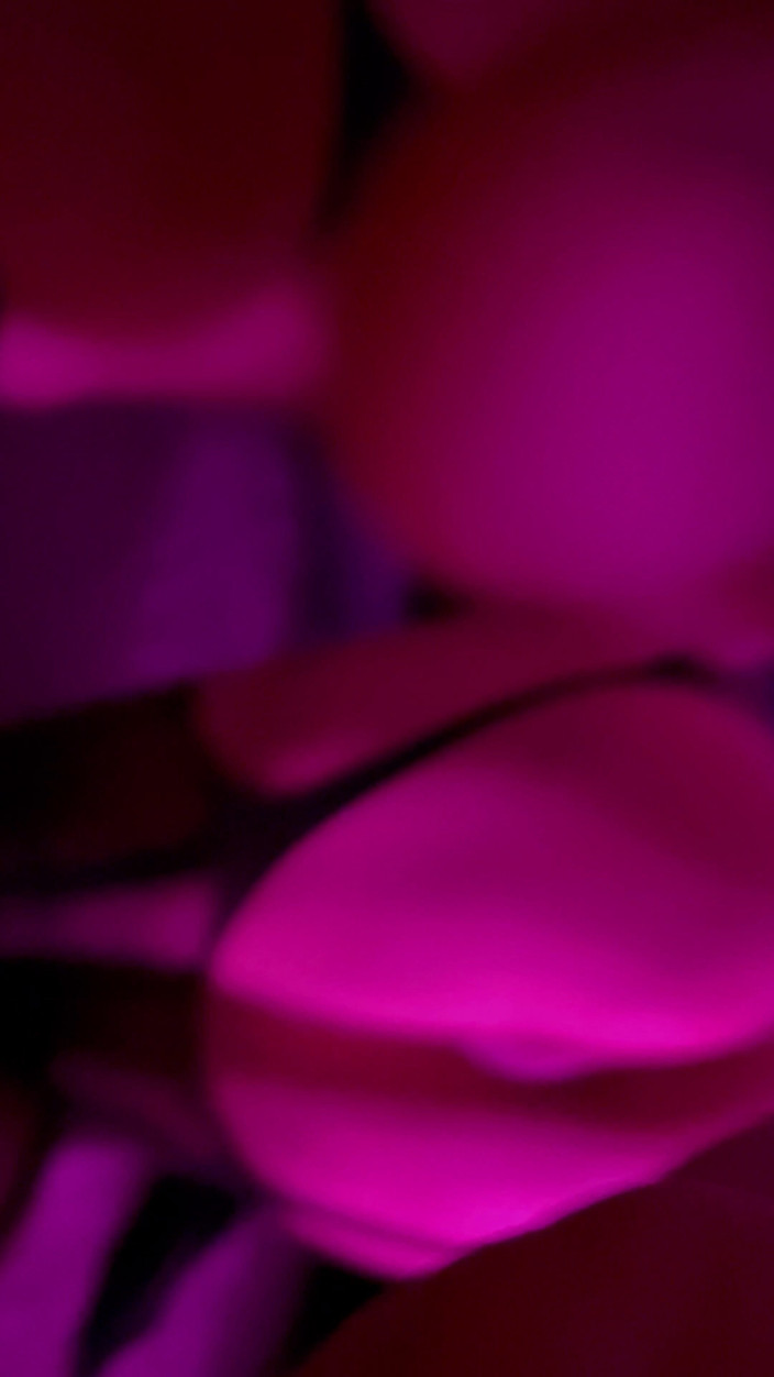 BootySuzi: 贪婪的布蒂苏齐