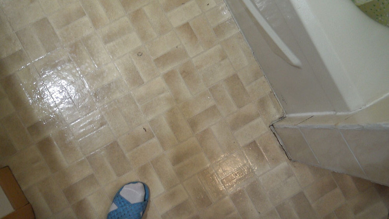 Souzan Halabi: 巨乳女仆被她的老板精液覆盖