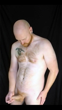 You Like Lookin' at This Fuzzy Ginger Fella?