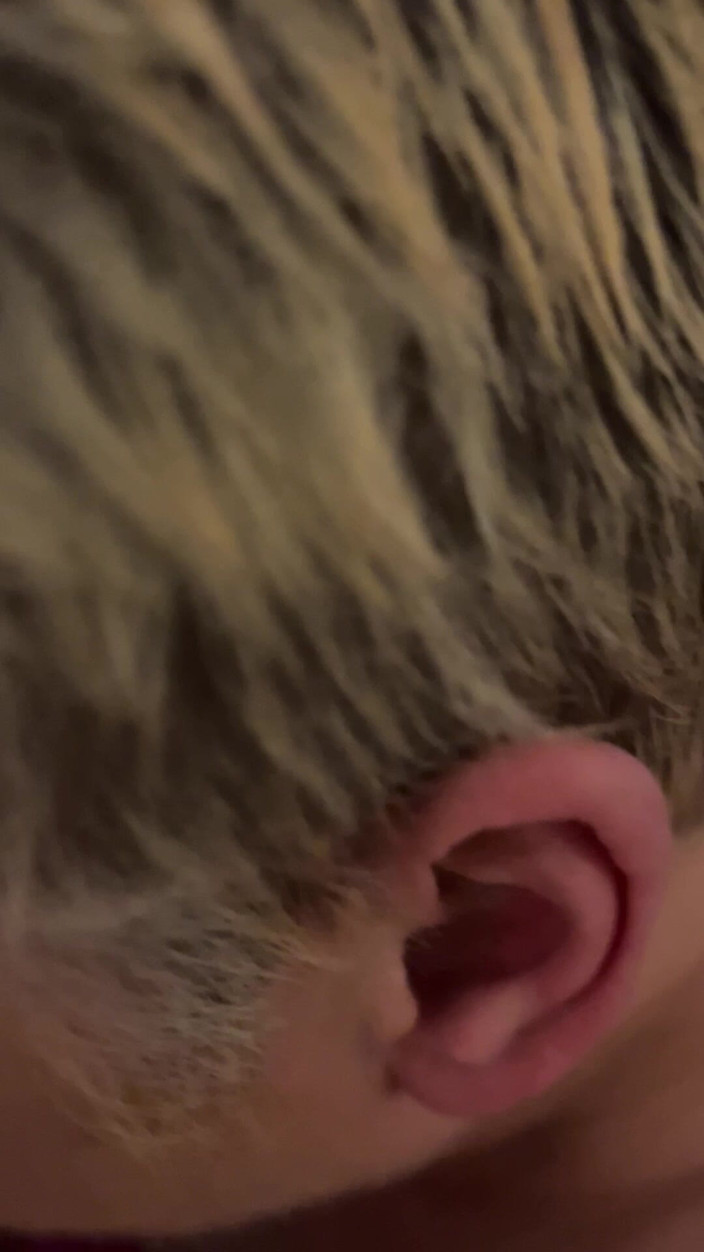 Secret cindy: Sboriamo più duro