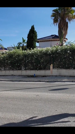 DaringKiara: The Moment When I Must Cross the Main Road to...
