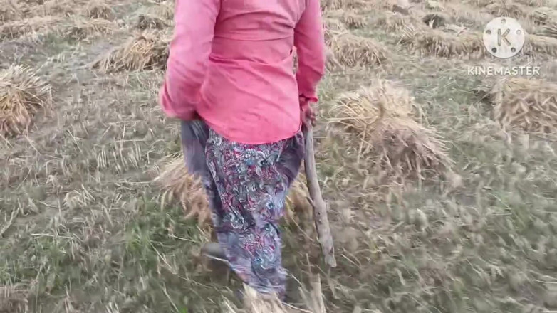 Savita5343: Cipka robotnika pszenicy została zerżnięta w pieska