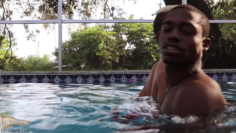 CocoDorm: Calvin Collins + Pupcore - Knulla mig i poolen