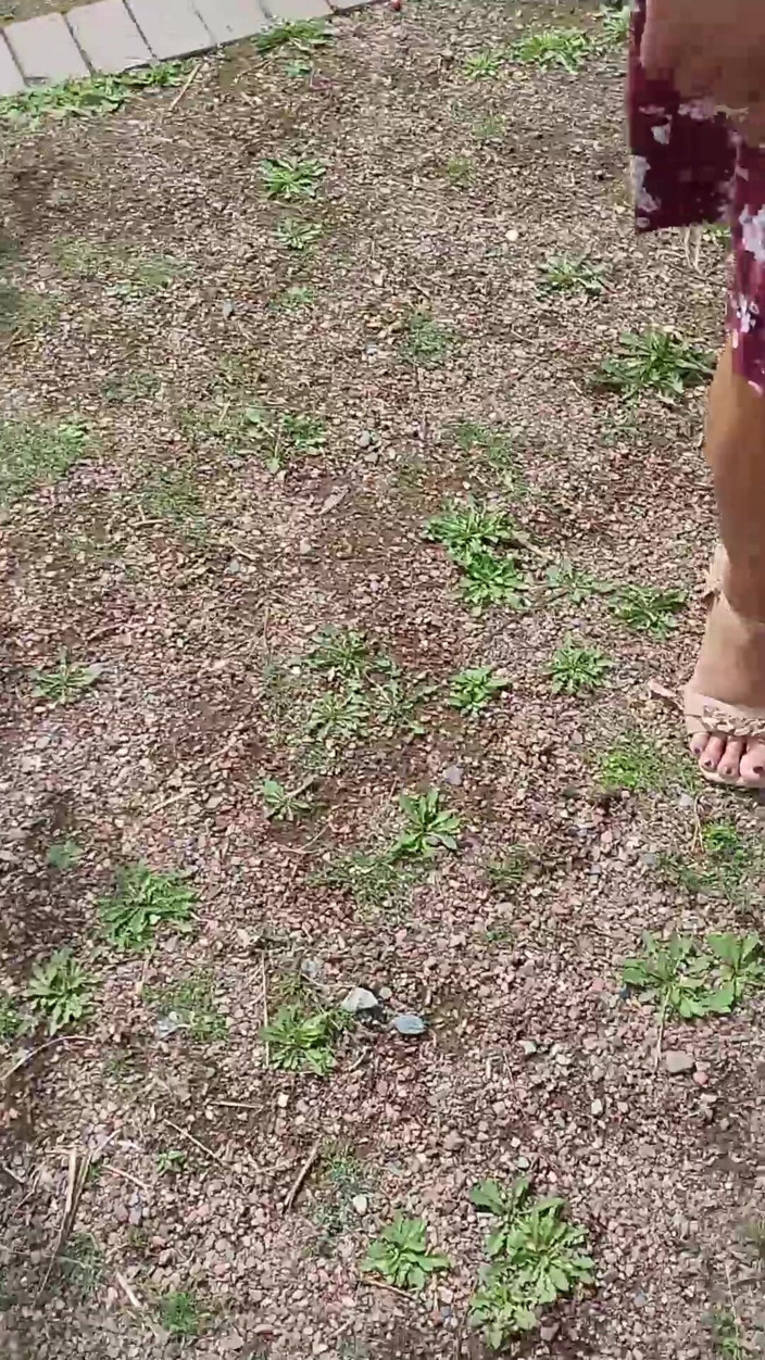 Serge Didier: Invited a Beautiful Fucking in the Park for a Walk...