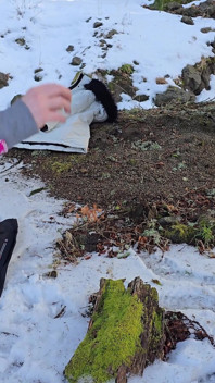 Forêt Enneigée Je Suce Mon Mec Et Un Promeneur, Il Me Baise La Chatte Dans La Neige Pendant Que Je Suce Mon Mec