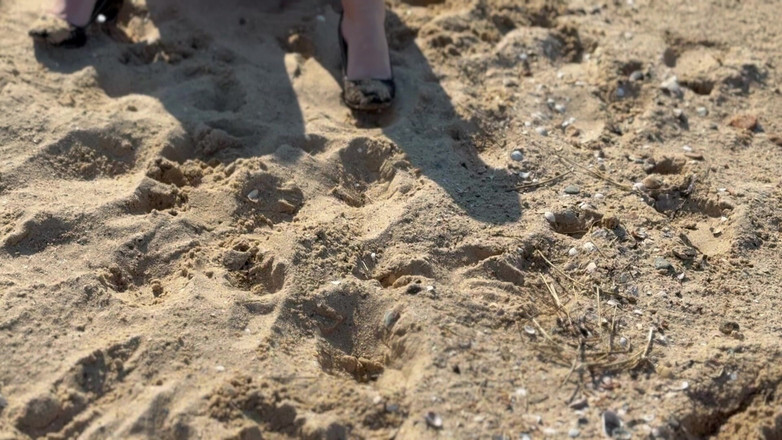 MartinsMrsMilf: Dezbrăcându-mă din mica mea rochie mini neagră pe plajă și apoi...