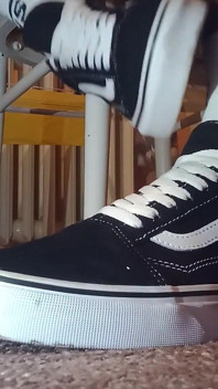 New Vans Shoes