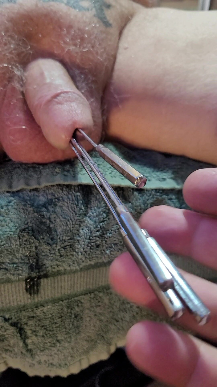 City hog: Ed și Rover cu sunete de coaie