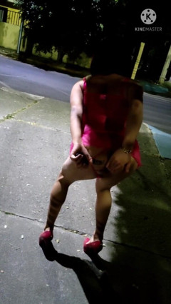 Sissy in Chastity and Slutty Lingerie Masturbating Her Ass with Dildo in a Public Park at Night.