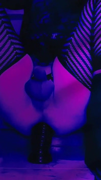 시시클러브 거유 애널 플러그