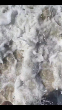 I Love the Sea and the Sun