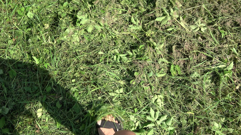 Hera Harding: Levrette rapide en plein air (avec moment de pipi bonus)
