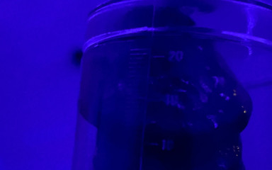 Litebare11: Pump Session