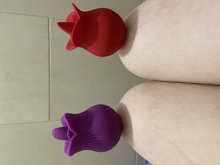 MissChrystalline: Rose Toy Campison