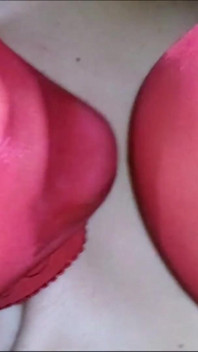 Encasement 빨간 나일론 오럴