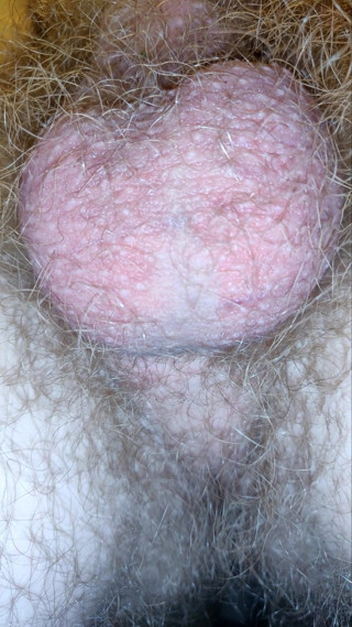 AssHungry4Cock: Palle ipnotizzanti che producono sborra