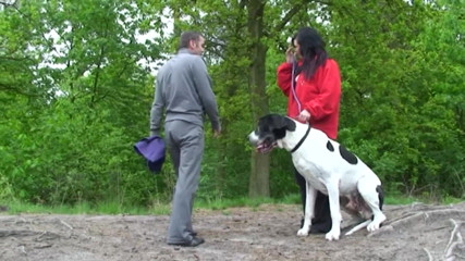 Public Entertainment: Chubby and horny brunette was walking her pet when she...